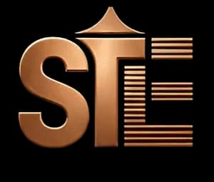 STE Big Logo